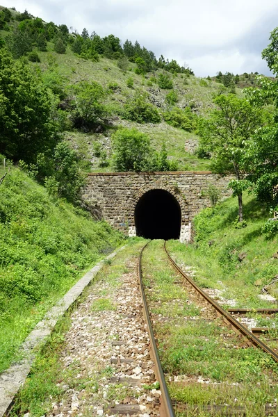 Trein- en tunnel — Stockfoto