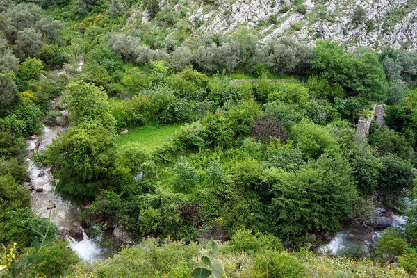 Fluss in alter Bar — Stockfoto