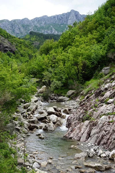 Liten flod i Montenegro — Stockfoto