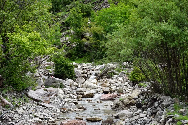 Fiume di montagna in Montenegro — Foto Stock