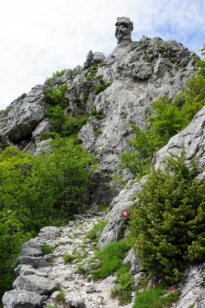 Fußweg in Berg — Stockfoto