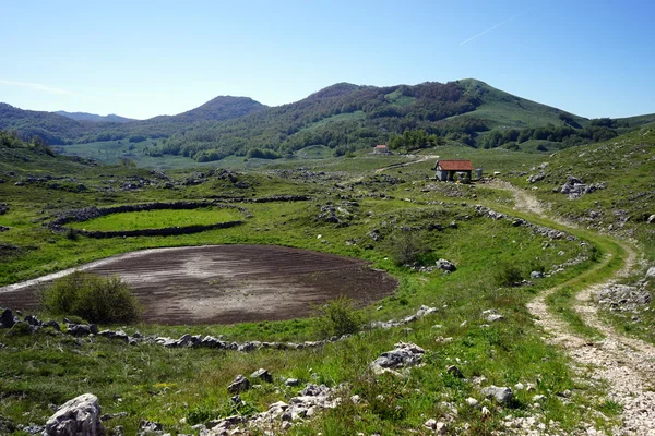 Strada in valle — Foto Stock