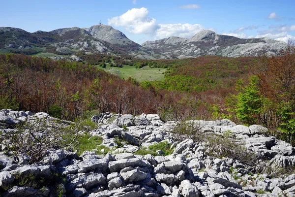 National park Lovcen — Stock Photo, Image