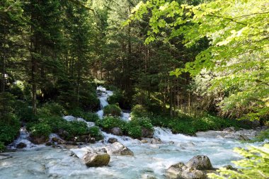 Güneş ışığı ve dağ Nehri