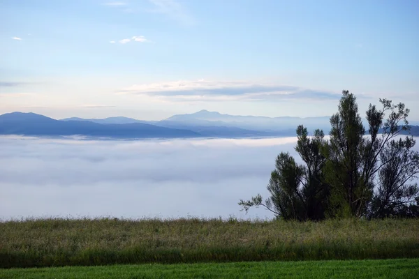 Herbe et nuages en montagne — Photo