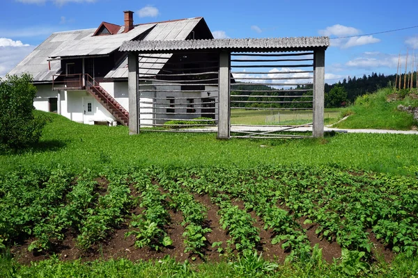 Bauernhaus und Garten — Stockfoto