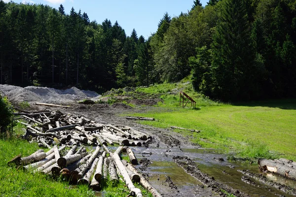 Heap of logs — Stock Photo, Image