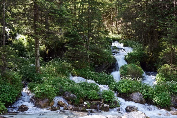 Rivier in het bos — Stockfoto