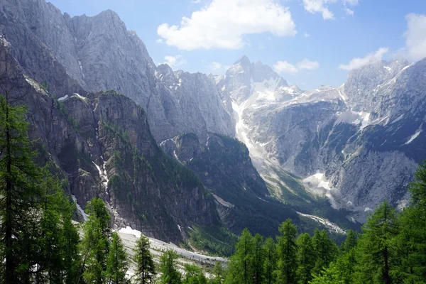 Dağ ve Slovenya Alpler'de ağaçlarda — Stok fotoğraf