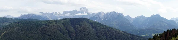Montagna e foresta — Foto Stock