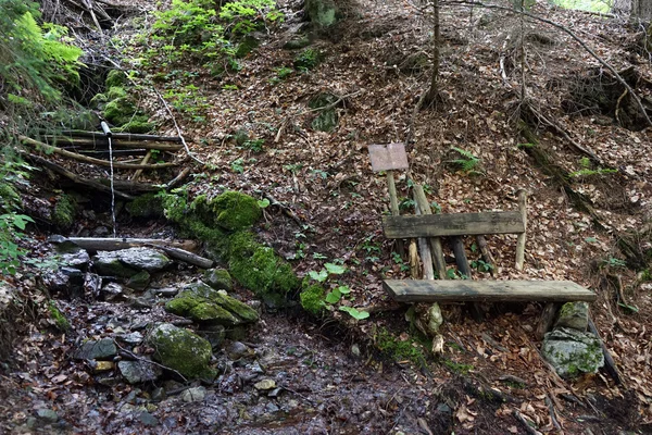 用干净的水，在奥地利在森林里的小弹簧 — 图库照片