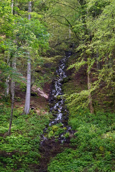 Schmaler Fluss im grünen Wald in Slowenien — Stockfoto