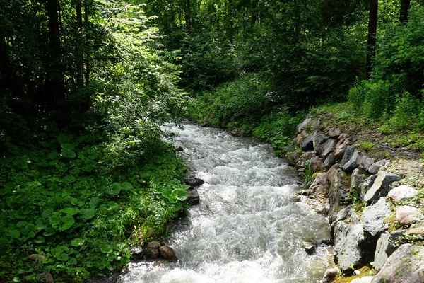 Rio de montanha na floresta na Eslovénia — Fotografia de Stock