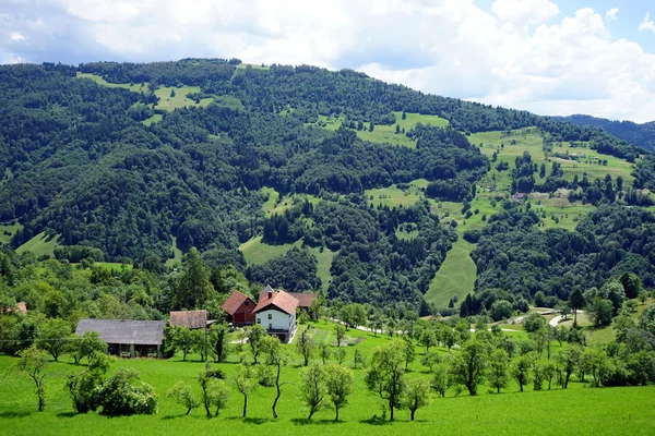 Çiftlik evleri Slovenya — Stok fotoğraf