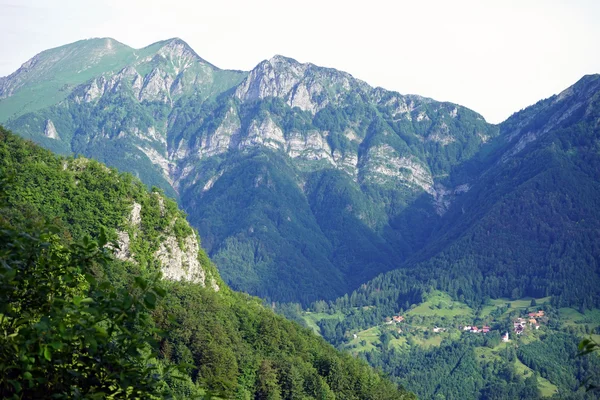 Údolí v zeleném údolí v Alpách, Slovinsko — Stock fotografie