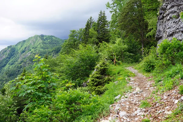 Footpath in mountain — Stock Photo, Image