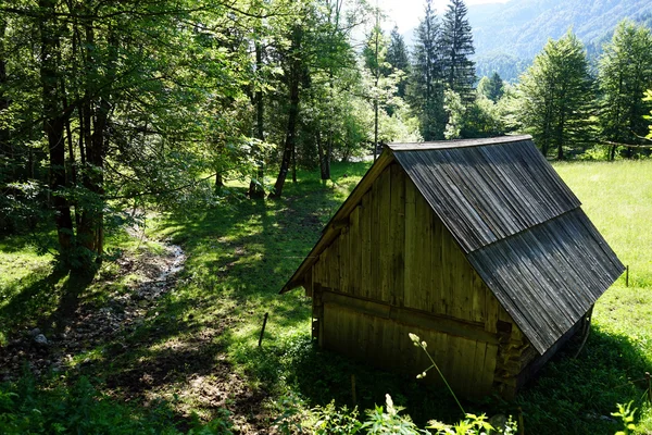 Capannone e albero in legno — Foto Stock