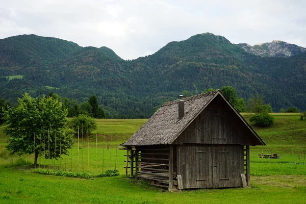 Dřevěné kůlny a strom ve Slovinsku — Stock fotografie