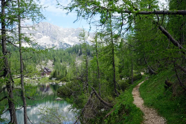 Passo a passo perto do lago — Fotografia de Stock