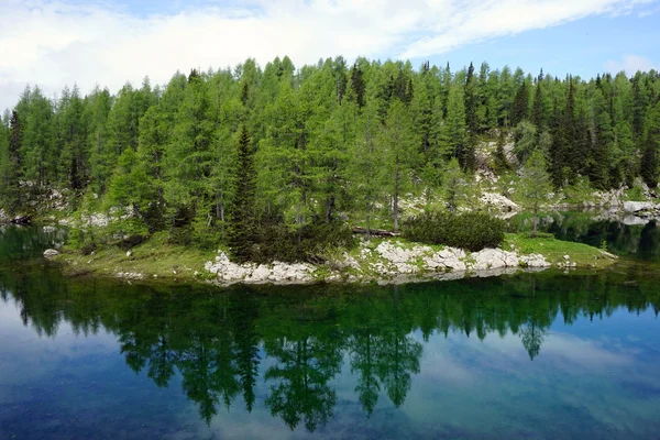 Floresta e lago de montanha — Fotografia de Stock