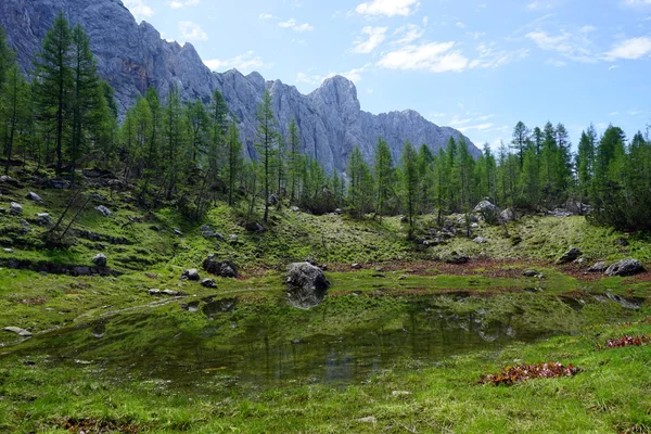 Horské jezero a zelené trávy — Stock fotografie