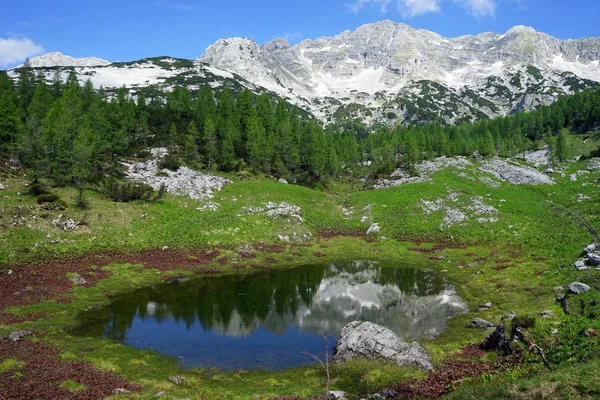 Górskie jeziora w pobliżu: Triglav — Zdjęcie stockowe
