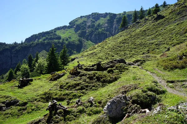 Wanderweg in den Bergen — Stockfoto