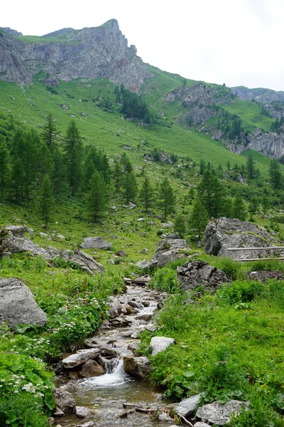 Valle de montaña verde — Foto de Stock