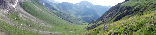 Hierba verde en valle — Foto de Stock