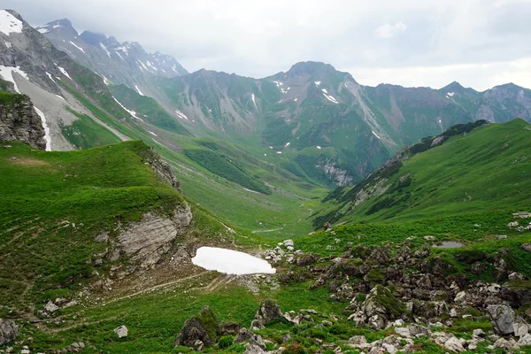 Grenn grass in valley — Stock Photo, Image