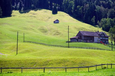 Yeşil yamaç ve bağlama