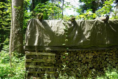 Ormanın içinde kapalı yakacak odun
