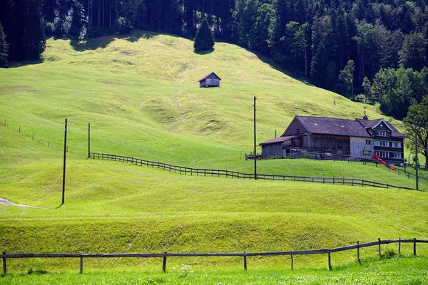 Yeşil yamaç ve bağlama