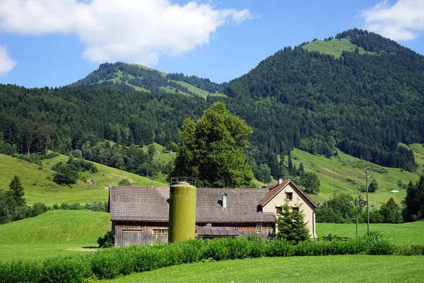 Boerderij veld in Zwitserland — Stockfoto
