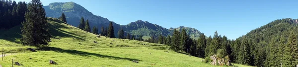 Panorama de pendiente verde — Foto de Stock