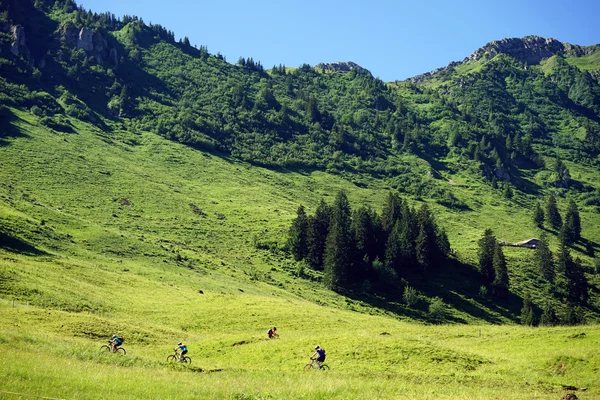 Bicicletas en la ladera verde del monte en Suiza — Foto de Stock