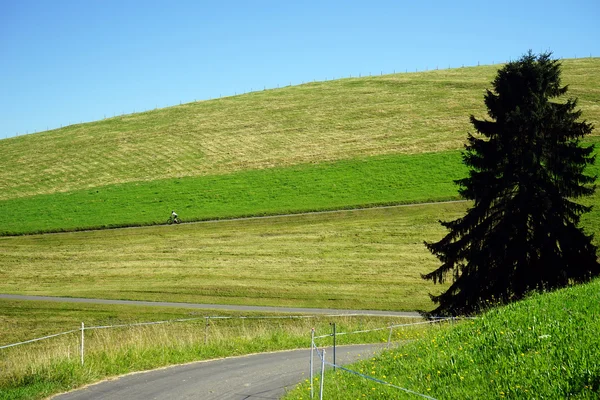 Groene gss op de heuvel — Stockfoto