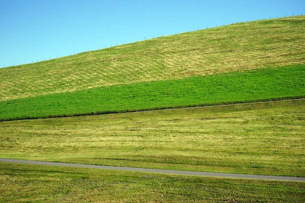 Groen gras op de heuvel Ien weg — Stockfoto