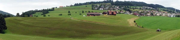 Fumier sur la pente de la colline verte — Photo