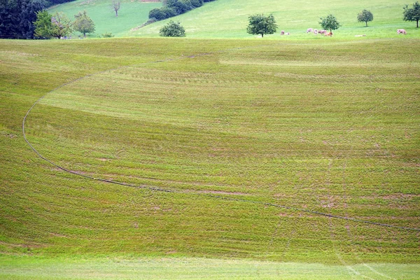 Gödsel på sluttningen av grön kulle — Stockfoto
