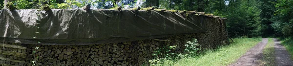 Firewood near road — Stock Photo, Image