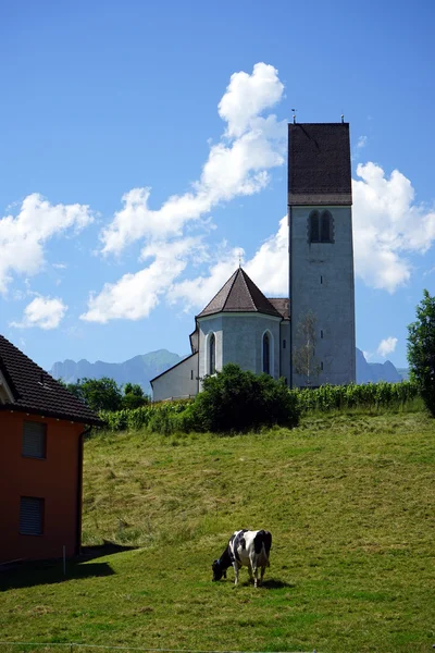 Kirche und Kuh — Stockfoto