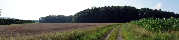 Dwa pola w Niemczech — Zdjęcie stockowe