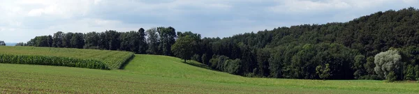 Панорама сельской местности — стоковое фото