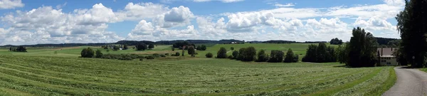 Panorama of g field — Stock Photo, Image