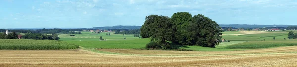 Панорама полей — стоковое фото