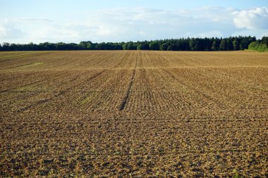 Lüksemburg sürülmüş topraklarda