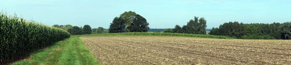 Zaoranej ziemi i kukurydzy — Zdjęcie stockowe