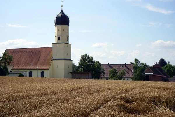 Chiesa parrocchiale e campo di whrat — Foto Stock