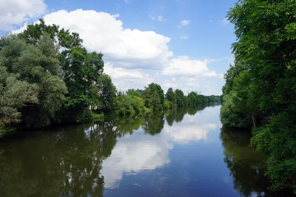 Rein en dam in de buurt van bos — Stockfoto